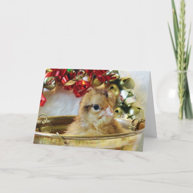 Cartão De Festividades Pintinho do Natal (Frente)