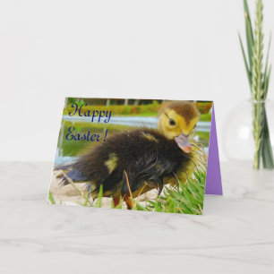 CARTÃO DE FESTIVIDADES PINTINHO III PÁSCOA