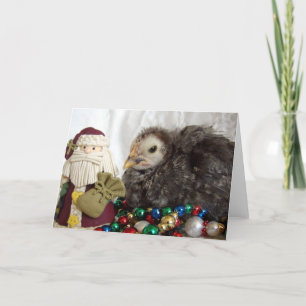 Cartão De Festividades Pintinho Natal