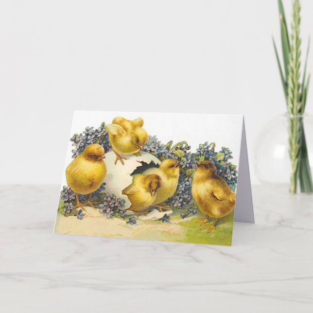 Cartão De Festividades Pintinhos de páscoa e Esquecer-me de Noções (Frente)