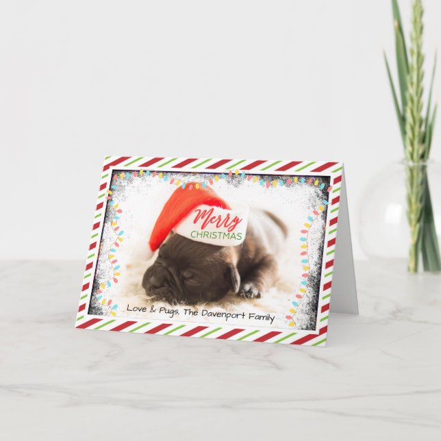 Cartão De Festividades Pinto de Natal em Santa Hat com Luzes de Natal (Frente)