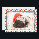 Cartão De Festividades Pinto de Natal em Santa Hat com Luzes de Natal<br><div class="desc">Cartão de Natal com uma fotografia adorável de um filhote de cachorro dormindo enquanto veste um chapéu de Papai Noel. Feliz Natal está escrito na banda de seu chapéu, com uma letra manuscrita na moda. Uma borda cinza com luzes coloridas de Natal cercando a moldura dessa foto fofinha. O fundo...</div>