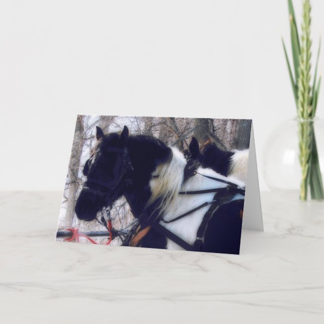 Cartão De Festividades Pinto Draft Horse Team, Natal (Frente)