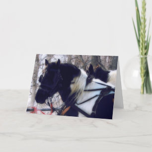 Cartão De Festividades Pinto Draft Horses, Christmas