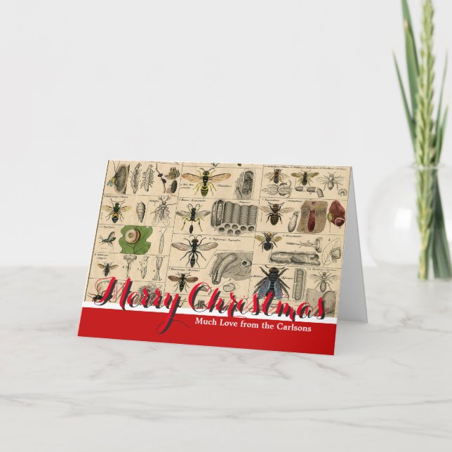 Cartão De Festividades Pintura De Abelhas Insetos Insetos Vaza Natureza N (Frente)