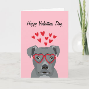 Cartão De Festividades Pitbull Grey Valentines Dog Card