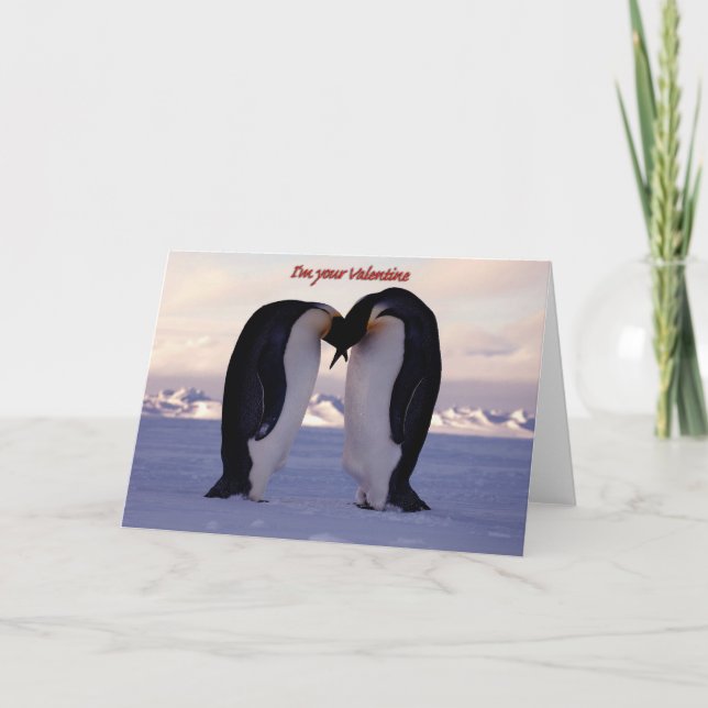 Cartão De Festividades PixDezines Beijando Dia de os namorados Pinguin do (Frente)