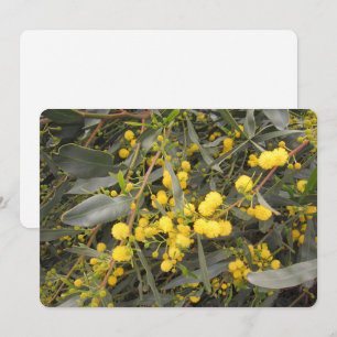 Cartão De Festividades Placa Acacia Flat Holiday