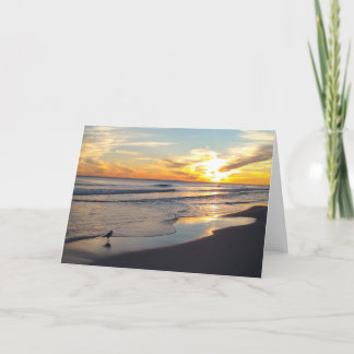 Cartão De Festividades Placa All Occasion - Dentro de Vazio