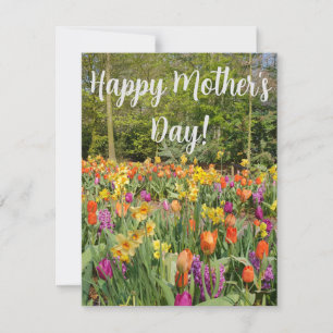 Cartão De Festividades Placa de Dia de as mães de Jardim Tulip Vibrante