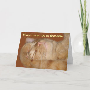 Cartão De Festividades Placa de Dia de os namorados de Gato Sarcástico