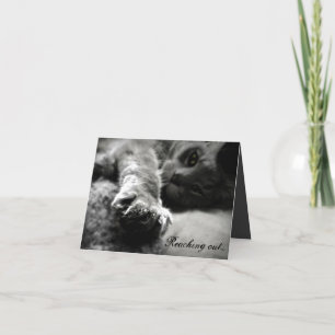 Cartão De Festividades Placa de Dia de os namorados de Kitty Cat