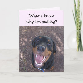 Cartão De Festividades Placa de Dia de os namorados Heidi Happy Rottweile