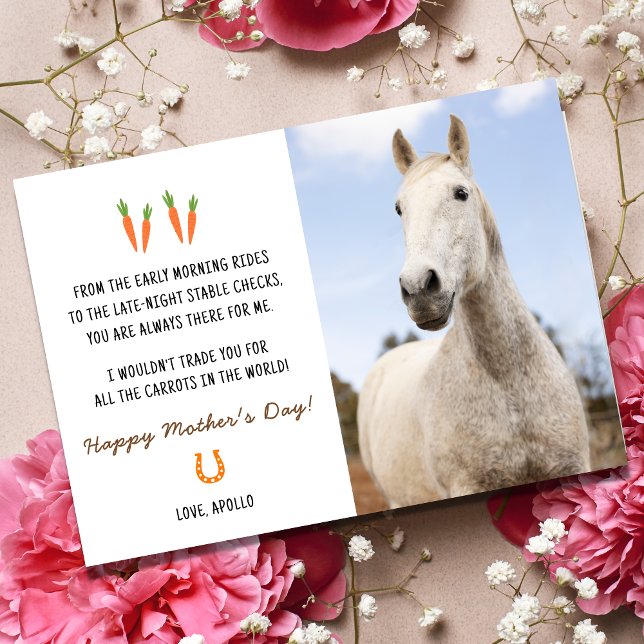 Cartão De Festividades Placa de Feliz dia de as mães Engraçado (Happy Mother's Day card, Horse Mom)