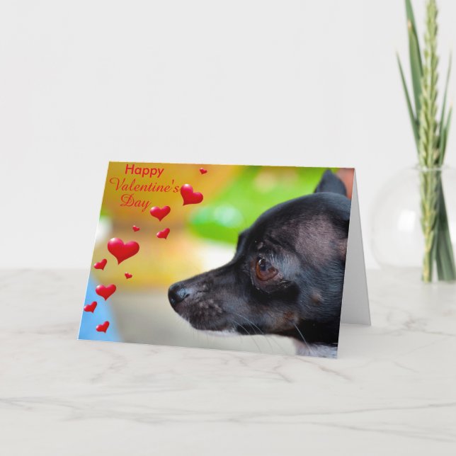 Cartão De Festividades Placa de Feliz dia de os namorados Pinscher Miniat (Frente)