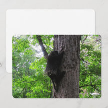 Placa de férias planas alta escalada