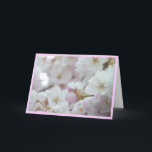 Cartão De Festividades Placa de Flor Branca de Cereja<br><div class="desc">Cartões de Flor Branco Lindos Magnôs Brancos Flores Cartões de Flor e Impressões Cartões e Impressões Personalizados para o Aniversário de Natal Parabéns Simpatia Cartões de Flor Branco Cartões e Impressões de Flor Branco: Obtêm Cartões e Placas Flores Brancos em www.kimhunter.ca</div>