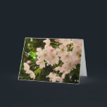 Cartão De Festividades Placa de Flor Branca de Cereja<br><div class="desc">Cartões brancos Flores lindas cerejas brancas Flores Flores Flores Cartões e Impressões Personalizados Cartões e Impressões para o aniversário de Natal Parabéns de simpatia Brancos Cartões de Flor branco Cartões e Impressões florescentes brancos: www.kimhunter.ca</div>