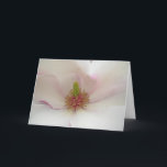 Cartão De Festividades Placa de Flor Magnolia - Placa Branca de Flor<br><div class="desc">Cartões de Flor Branco Lindos Magnôs Brancos Flores Cartões de Flor e Impressões Cartões e Impressões Personalizados para o Aniversário de Natal Parabéns Simpatia Cartões de Flor Branco Cartões e Impressões de Flor Branco: Obtêm Cartões e Placas Flores Brancos em www.kimhunter.ca</div>