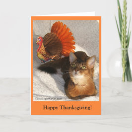 Cartão De Festividades Placa de Gatinho de Ação de Graças Sparkle
