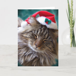 Cartão De Festividades Placa de Gato de Papais noeis para acordar-me