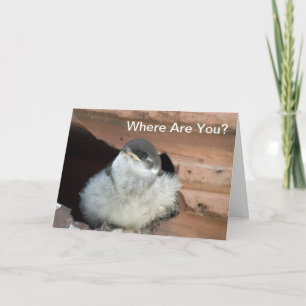 Cartão De Festividades Placa de Namorados de Engolir Barn