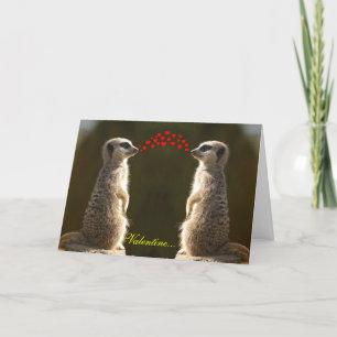 Cartão De Festividades Placa de Namorados Meerkat 003