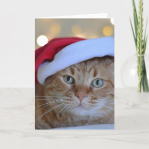 CARTÃO DE FESTIVIDADES PLACA DE NATAL GINGER CAT