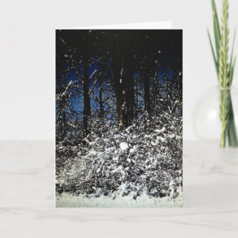 Cartão De Festividades Placa de Natal Sunny Snowy 5x7