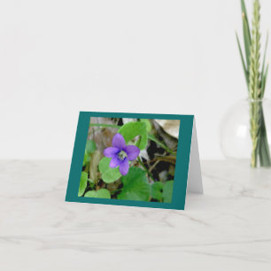 Cartão De Festividades Placa de Nota Violeta