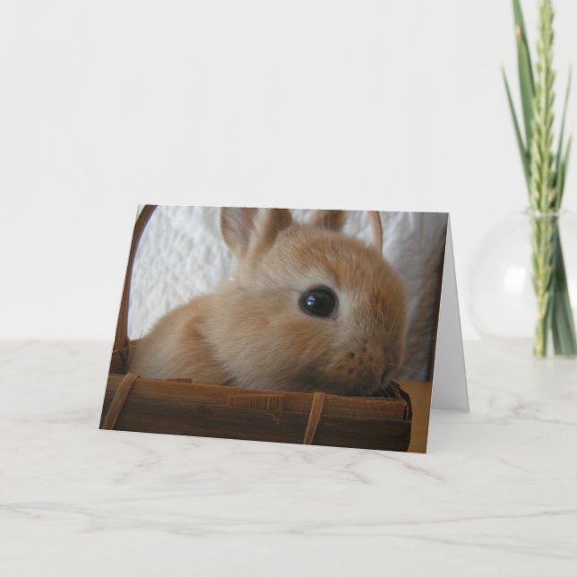 Cartão De Festividades Placa de Páscoa Bunny (Frente)