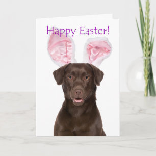 Cartão De Festividades Placa de Páscoa de chocolate