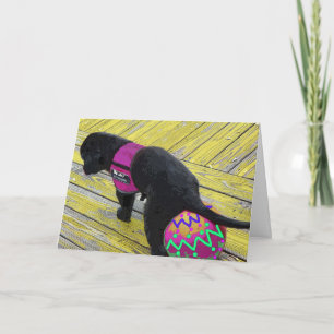 Cartão De Festividades Placa de Páscoa de fixação de ovos