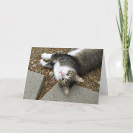 Cartão De Festividades Placa de Páscoa de Gato para Baixo