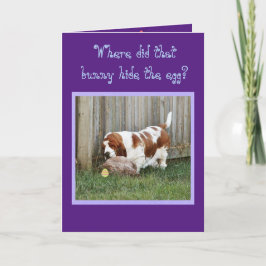 Cartão De Festividades Placa de Páscoa engraçada com Cesto de Basset, Coe