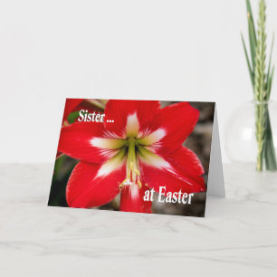Cartão De Festividades Placa de páscoa para Irmã com Lily Vermelha