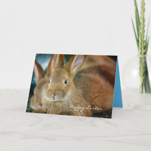 Cartão De Festividades Placa de Páscoa Personalizada bonito Brown Bunny