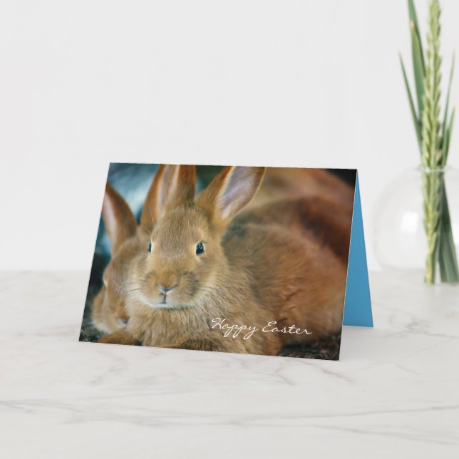 Cartão De Festividades Placa de Páscoa Personalizada bonito Brown Bunny (Frente)
