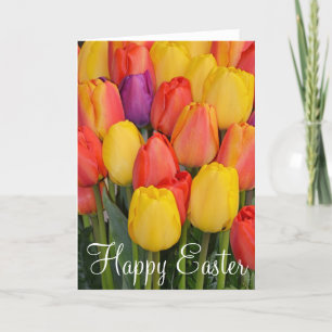 Cartão De Festividades placa de Páscoa tulipas de primavera