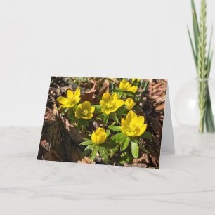 Cartão De Festividades Placa de saudação de inverno/Primavera (Dentro Vaz