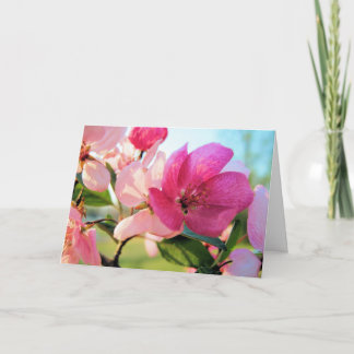 Cartão De Festividades Placa de saudação de Páscoa cor-de-rosa