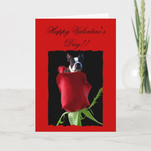 Cartão De Festividades Placa de Saudação Terrier de Boston feliz dia de o