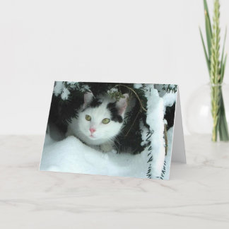 Cartão De Festividades Placa de saudação WiLSoN XMaS