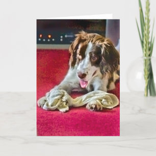 Cartão De Festividades Placa de Tempo Limite de Reprodução