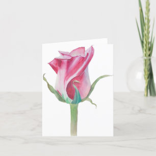 Cartão De Festividades Placa de Vazio Rosa Rosa Rosa solteiro