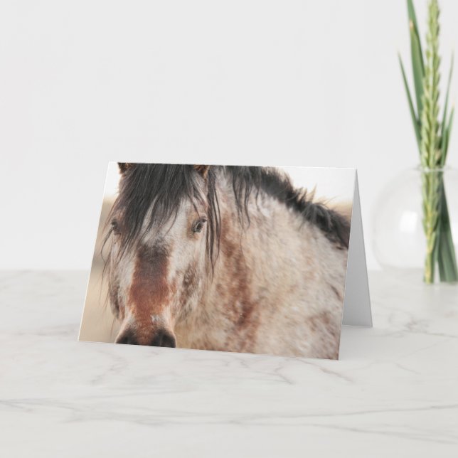 Cartão De Festividades Placa de Vazio Sir Behr (Frente)