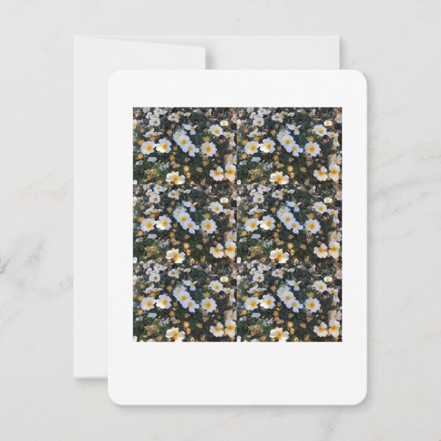 Cartão De Festividades Placa Floral Bliss (Frente)