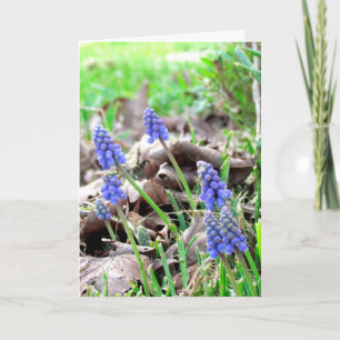 Cartão De Festividades Placa - Flores de Páscoa