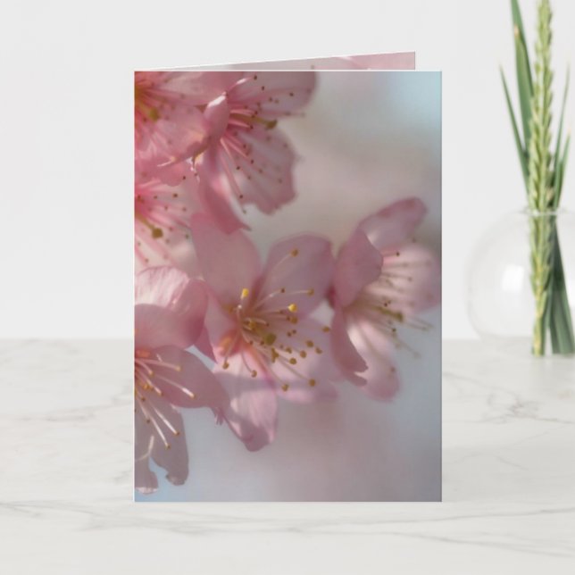 Cartão De Festividades Placa Flores Rosa (Frente)