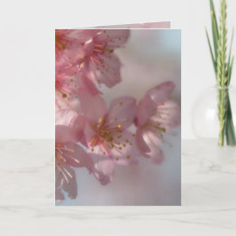 Cartão De Festividades Placa Flores Rosa